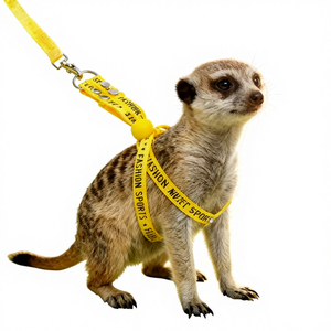 Correa Ajustable para Mascotas Pequeñas, Suricatas, Hurones, Marmotas y Mapaches - Product Image 1
