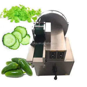 Multifunctionele 100 Kg/u Het Hakken Van Plantaardige Chili Snijmachine Wortelversnipperde Machine