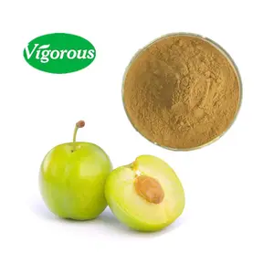 Organic good flavor food grade for drinks and food Buchanania Obovata Green plum extract
