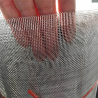Moustiquaire de fenêtre moderne en alliage d'aluminium, anti-corrosion, tissage uni, légère et résistante à la corrosion