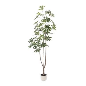 PE/PU/BENT Tronco Naturaleza-idéntico Nuevo modelo <span class=keywords><strong>Árbol</strong></span> de hoja de <span class=keywords><strong>yuca</strong></span> artificial para decoración del hogar Decoración de plantas - Product Image 6