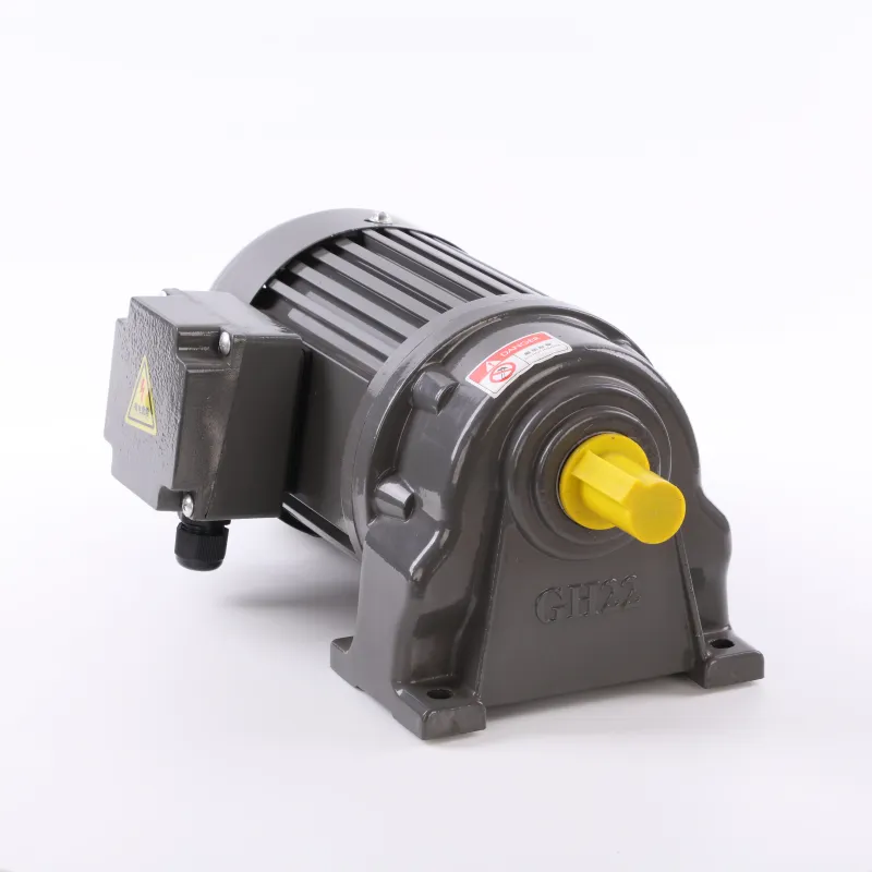 special type YEJ2 series electromagnetic brake motors with hand release with double side output shaft