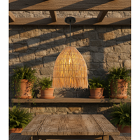 Lampes suspendues en rotin et fer durables |   Aires de repas intérieures/extérieures résistantes aux intempéries Ampoule E27 3500K 220V AC