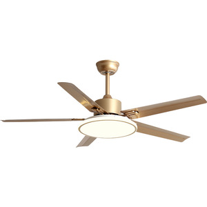 Minimalist Stainless Steel <b>Ceiling</b> Fan <b>Light</b> 56 Inch <b>Led</b> Fixed Blade For Living Room And Study - Product Image 3