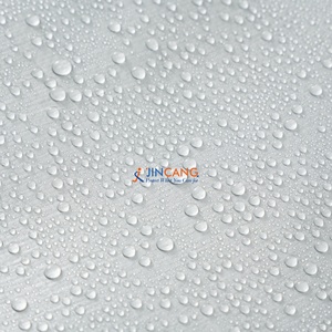 <span class=keywords><strong>Bâche</strong></span> en polyéthylène PE de haute qualité, imperméable et colorée, pour couvrir les camions et les marchandises, fabricant de bâches en plastique, bâches enduites de PE - Product Image 6