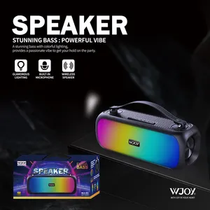 2024 Hot Sell Portable Wireless Speaker WLS-001 RGB Light Display