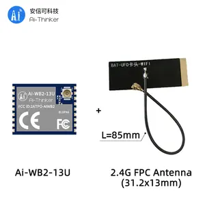 Ai-ThinkerNEW Ai-WB2-13U WiFi Bluetooth שני-in-one מודול מרחק שידור ארוך במיוחד