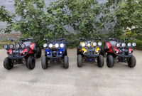 Quad électrique tout-terrain pour adolescents, prix usine, idéal pour la plage et le sable en Afrique du Sud