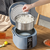 Cuiseur à riz à faible teneur en glucides 2L avec réservation multifonction Pot intérieur antiadhésif Séparation de la soupe de riz Style manuel en option