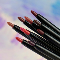 Lápiz labial Mineral suave, tubos blancos de alta calidad, 15 colores, delineador de labios automático, Etiqueta Privada