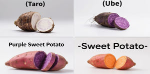 UBEパウダー有機成分乾燥パープルヤムパウダーバルクパープルヤムウブパウダー - Product Image 6