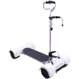 Golf Cart 4 Wheels Motorized <b>Mobility</b> Scooter Mini <b>Trolley</b> EGT101403 Golf Cart EGT101403 - Product Image 2