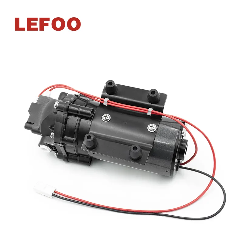 مضخة مياه ليفو للسيارات الترفيهية مضخة نقل المياه بقوة 12 فولت حسب الطلب من LEFOO
