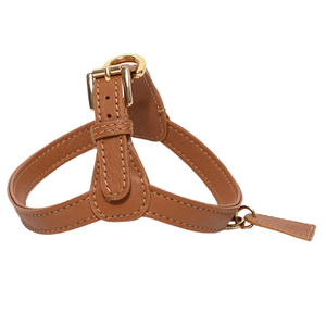 Correa de Lujo de Aleación Sólida con Hebilla Ajustable Reflectante y Cintas para Pasear Perros Henshine HS20240731004 - Product Image 1