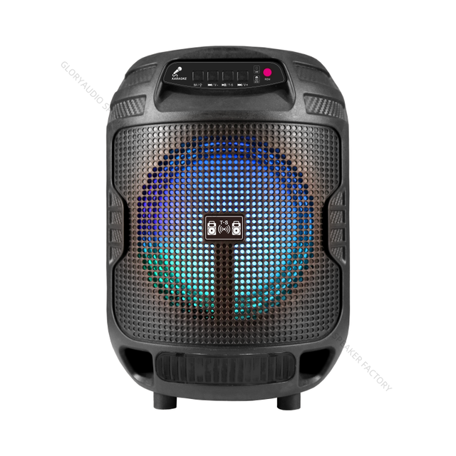 Handle 6.5 Inch Hi-Fi Wireless Portable Speaker Professional Bass Outdoor New Feature Made of Durable Plastic