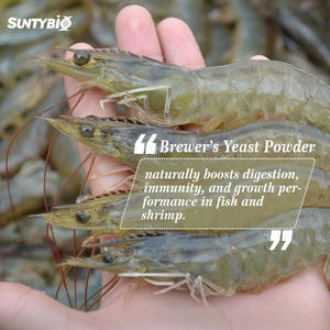 Fabbrica Della cina lievito di Birra in anguilla feed - Product Image 3