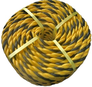 Chinese Supplier Hot Sale Tiger Rope PE Braided Rope 2mm to 40mm Leather Braided Polyethylene PE Rope