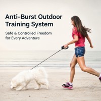 Traceur GPS pour chien avec Beidou, étanche, en plastique, autonomie de 1 an