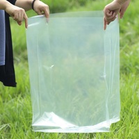 Industrial Grade Custom Large Transparent PE Plastic Moisture-Proof Bags for Earphones