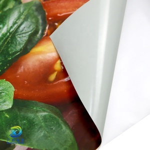 Trung Quốc Nhà sản xuất máy in phun pppaper không thấm nước <span class=keywords><strong>Matte</strong></span> cho máy in phun in ấn sinh thái dung môi giấy cuộn - Product Image 3