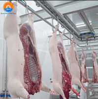 Ligne d'abattage automatique de porcs, solution clé en main, abattoir de porcs, équipement de traitement en acier inoxydable, machines d'abattage, CE