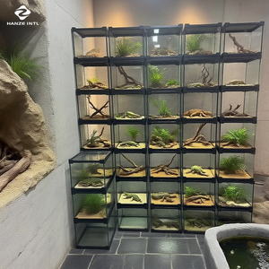 Terrarium en verre Hanze, moderne, classique, simple, écologique, boîte de présentation, bouton-pression, dessus en maille, réservoir de luxe pour reptiles arboricoles - Product Image 6