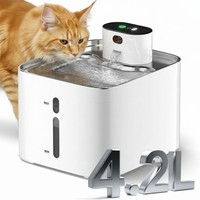 Distributeur d'eau portable pour animaux de compagnie en acier inoxydable élégant, étanche IPX8, recharge intelligente, circulation automatique, affichage LCD de l'heure