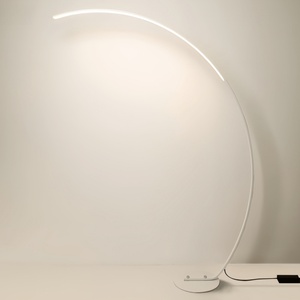 Lámpara de Pie de Acero Inoxidable, Minimalista, RGB, Moderna, Simple, Lámpara de Pie Estilo Nórdico Decorativa - Product Image 5