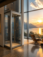 Ascenseur panoramique de luxe pour maison, petit ascenseur à traction pour villa résidentielle avec porte battante manuelle