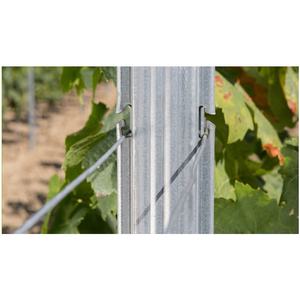 רשת משומשת ספק עתיק קל סוגר כרם ענבים צורני ענב כובעים מהיר חם טבל מגולוון ט פוסט - Product Image 3