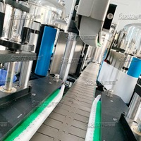 Etiquetadora Automática de Doble Cara con Motor Neumático y Control PLC para Botellas Planas, Etiquetadora de Alta Velocidad para Cosméticos