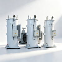 Régulateur de tension automatique (AVR) monophasé 11kV 110kVA 100A pour systèmes électriques d'Amérique du Sud et d'Asie centrale