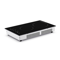 Table de cuisson à induction 2000W, plaque chauffante électrique à induction invisible