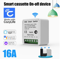 Module d'automatisation intelligent Wi-Fi 16A Mini RF433mhz DIY avec relais pour fil neutre, compatible Smart Life, Alexa, Google Home, 240VAC