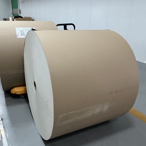 Rouleau de papier enduit de PE pour la fabrication de gobelets écologiques - Product Image 3