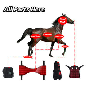 RedThera equina terapia a luce rossa sondaggio tappo collo testa di cavallo avvolgente ha portato la terapia a luce rossa per i cavalli - Product Image 6