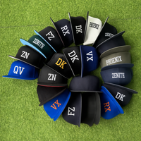 Gorra de Béisbol Unisex Moderna y Personalizada de Algodón, 5/6 Paneles, Visera Curva en 3D, Estructurada, con Logotipo Bordado, Estilo Hip Hop
