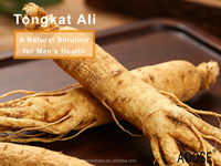 Suplemen Herbal OEM Ekstrak Akar Tongkat Ali Maca Kapsul untuk Pria Dewasa - Meningkatkan Energi, Menyeimbangkan Hormon, Meningkatkan Kekuatan Otot 60 kapsul