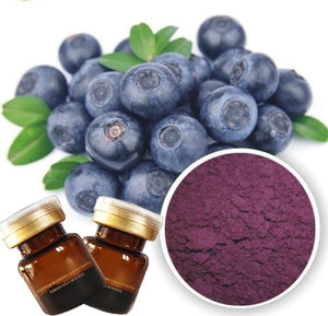 Ekstrak makanan Blueberry alami makanan antosianin bubuk Blueberry yang diasah liar minuman padat suplemen Vitamin cair botol yang dibungkus - Product Image 2