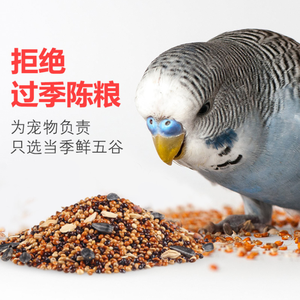 JONSANTY पक्षी तोता फ़ीड Budgerigar/Agapornis खाद्य डीलक्स पूर्ण पोषण पक्षी फ़ीड है। - Product Image 2