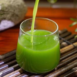 Hastes Frescas de <span class=keywords><strong>Dendrobium</strong></span> Candidum de Seis Anos - Product Image 2