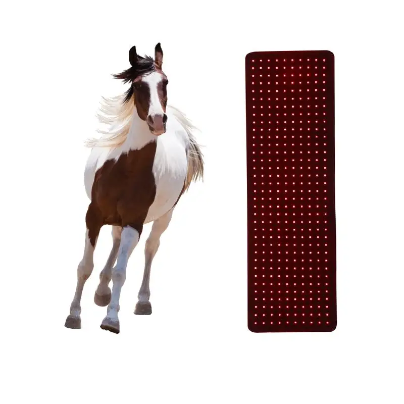 Tier pferd Haustier verwenden gepulste LED-Therapie kissen 635nm 850nm roter Infrarot gürtel Erschwing liches LED-Therapie licht