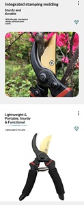 Forbici da Giardino Portatili Hongrui in Acciaio Inox SK5, Attrezzo per Potatura Resistente e Antiruggine per Fiori e Alberi - Product Image 3