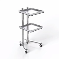 Chariot de coiffure en acier inoxydable zs pour le lissage et la teinture, pliable, rangement pour voiture, salon de coiffure et salon, utilisation à domicile, outil en métal