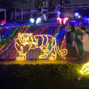Holiday Decorative Animal <strong>Motif</strong> Rope Light LED Customized <strong>Tiger</strong> Rabbit Buffalo Light Festival - Product Image 3
