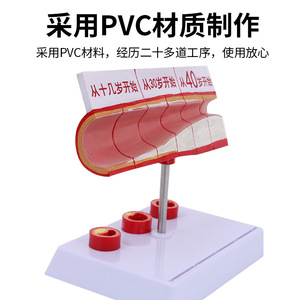 /// - Product Image 2