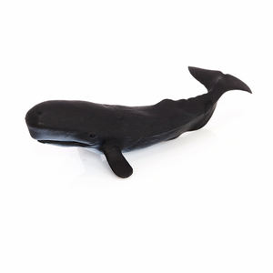 Vente en gros PVC solide Simulation du requin blanc Dophin Baleine Modèle Mer Créature Animaux Figurines Jouets - Product Image 5