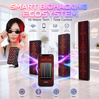 Panneau de luminothérapie rouge intelligent EM à commande vocale, dispositif LED infrarouge proche pour la récupération musculaire des athlètes
