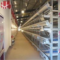 Cage d'élevage multi-niveaux de type H à conception automatique pour poussins, idéale pour les grandes exploitations avicoles et l'élevage de poulets pondeurs