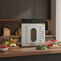 Déshydrateur alimentaire multifonction en acier inoxydable, machine à yaourt, machine à rouleaux de fruits, étuve à pâte, séchoir à herbes, etc. Double